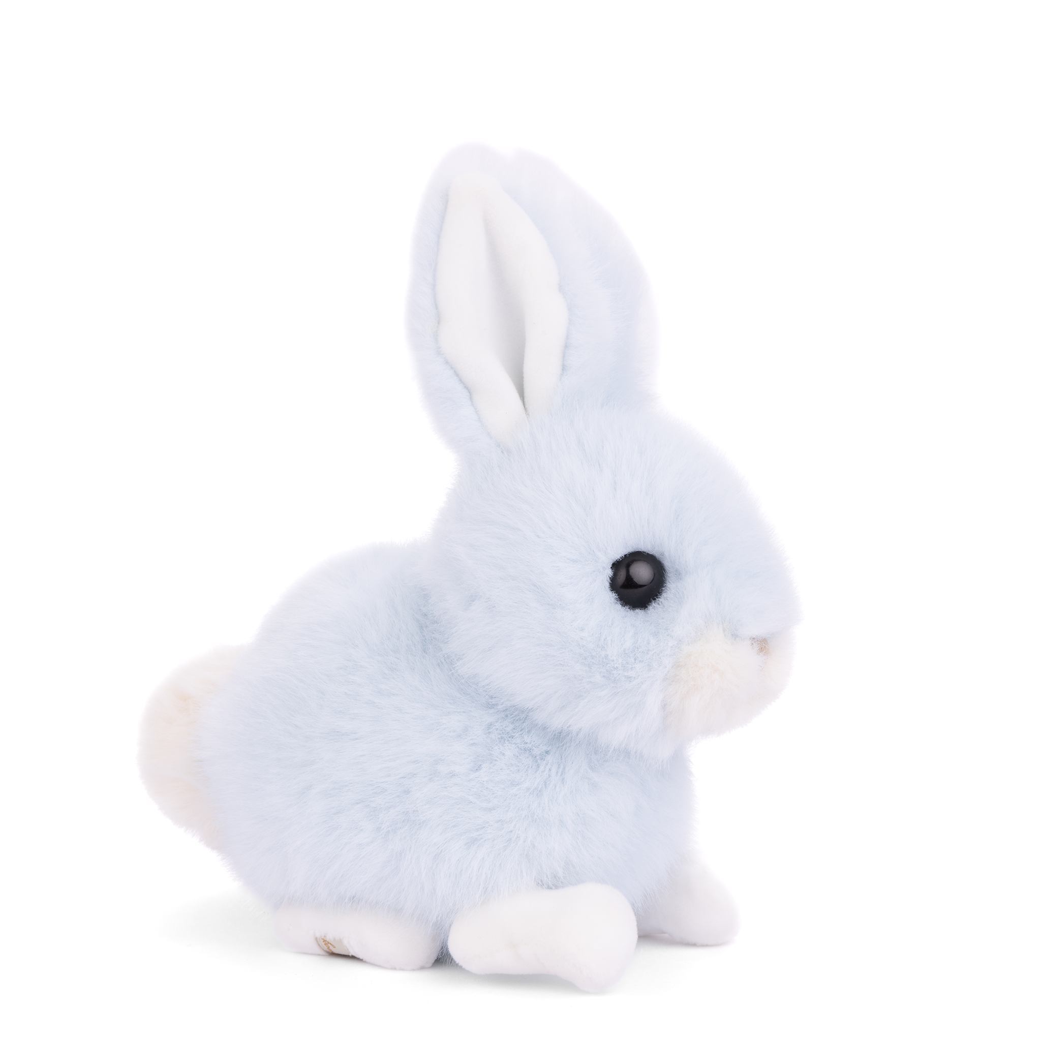 Baby Bunny - Heaven Blue