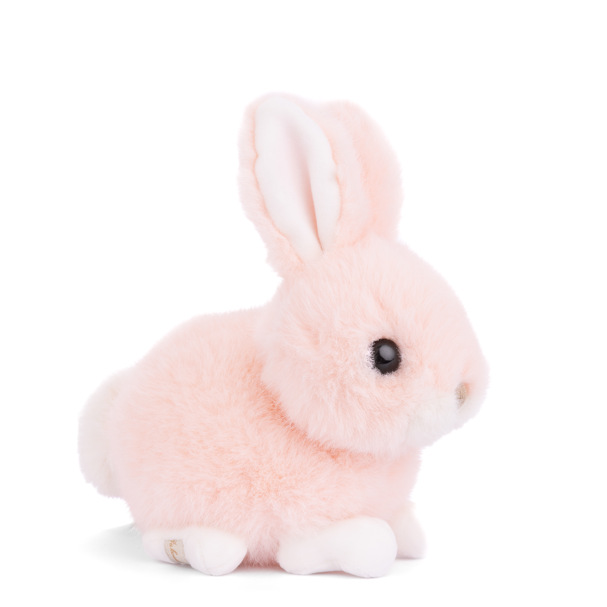Baby Bunny - Peach