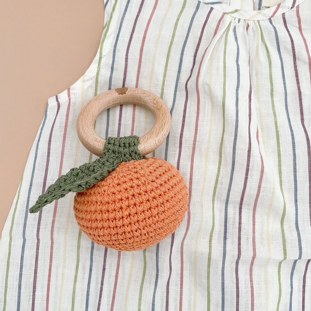 Pumpkin Fruit Teether