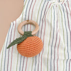 Pumpkin Fruit Teether