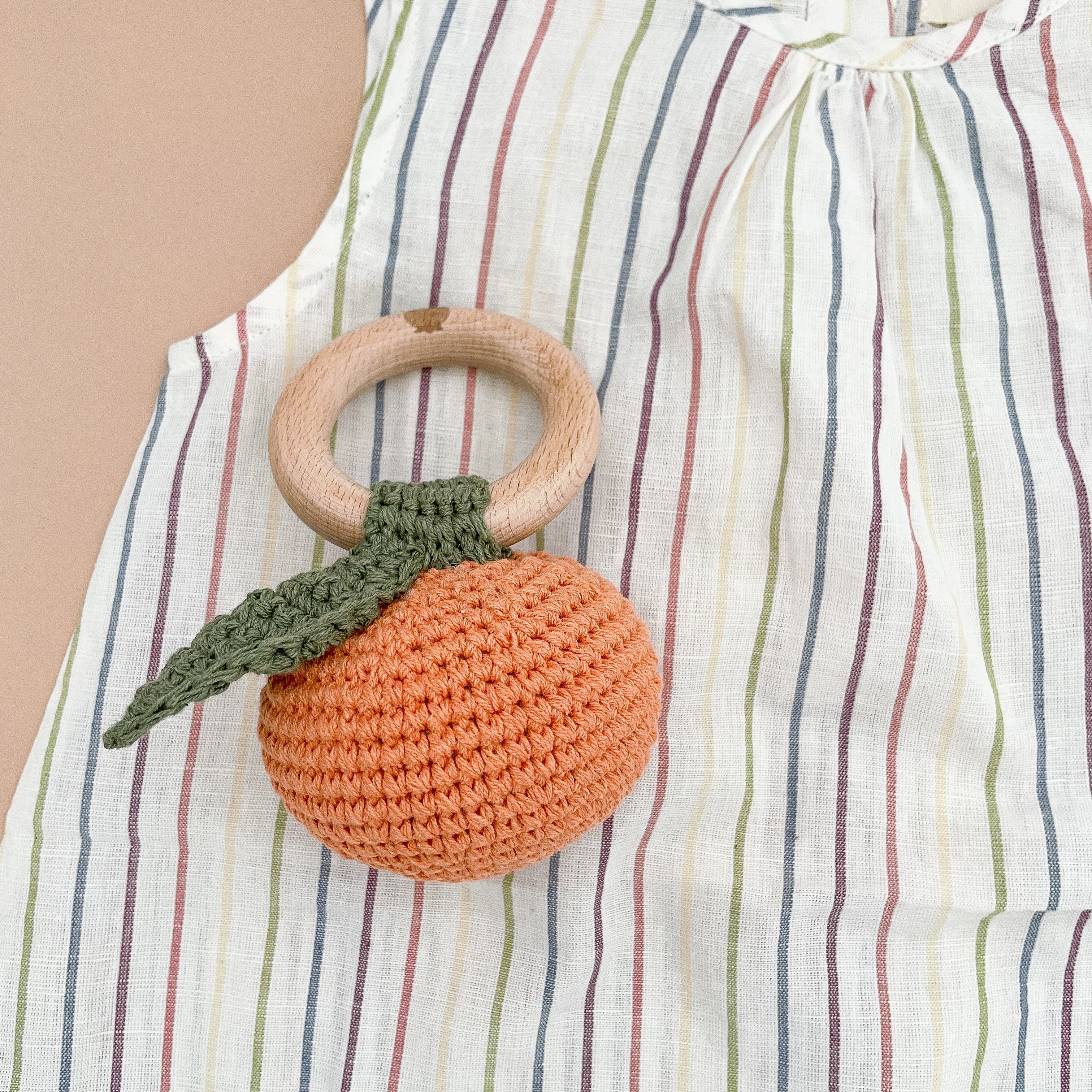 Pumpkin Fruit Teether
