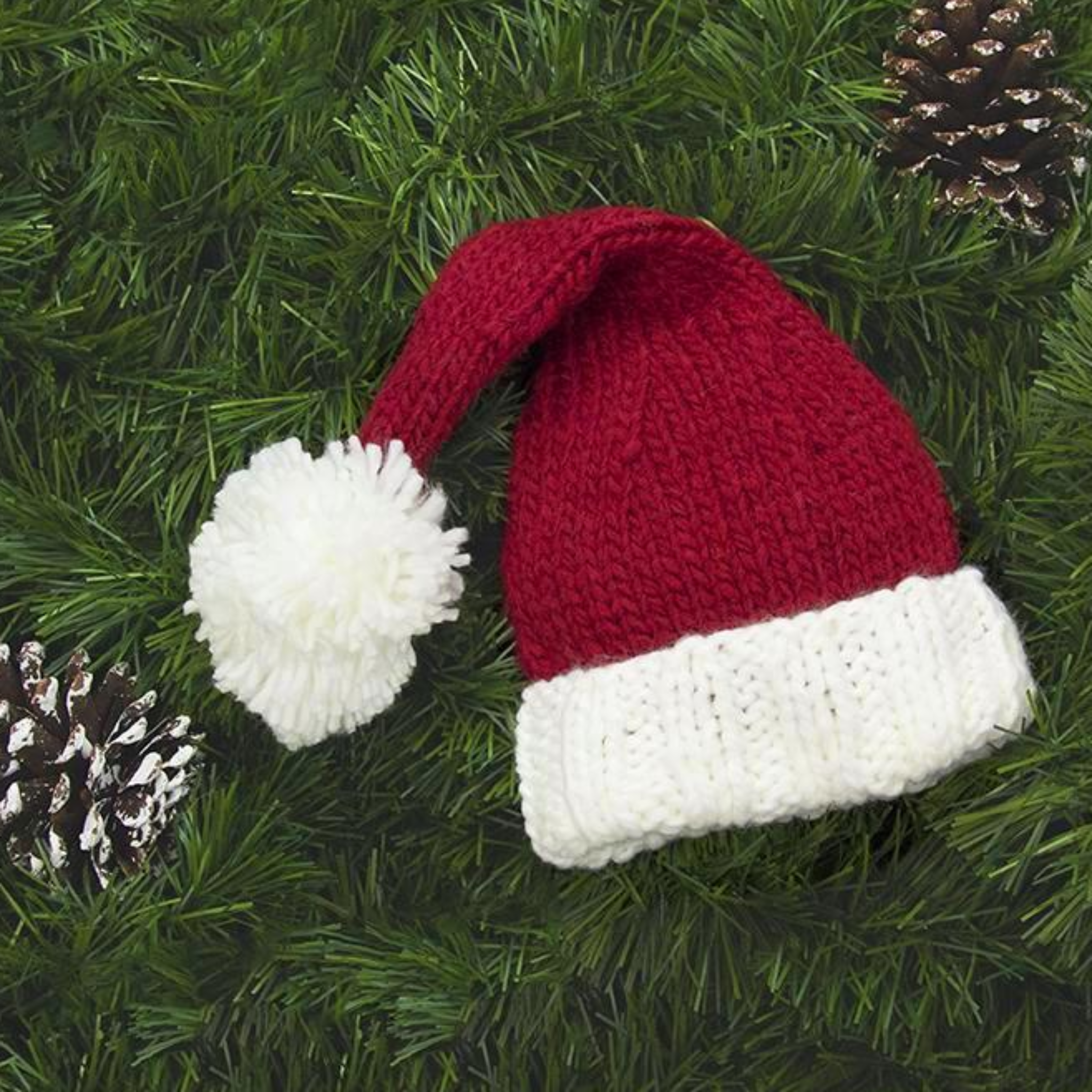 Nicholas Santa Beanie