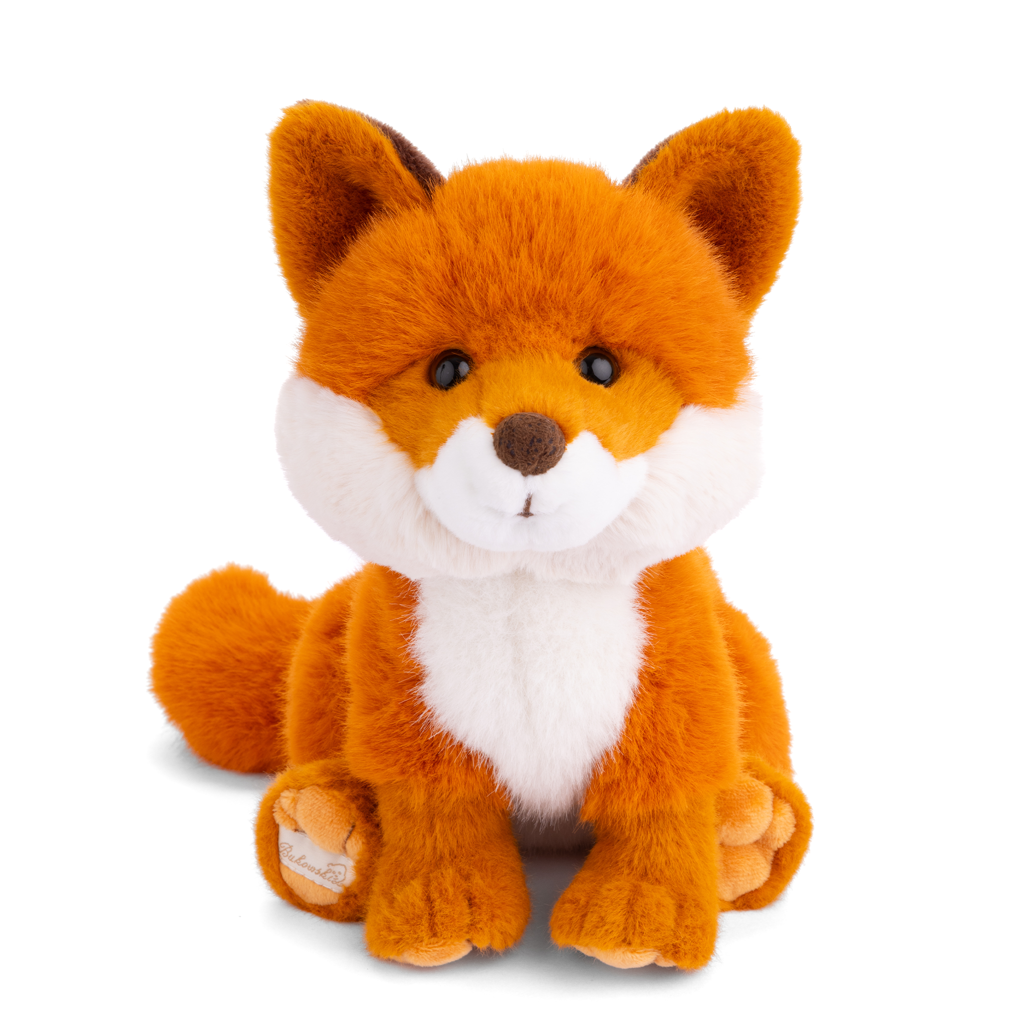 Sweet Clever Fox