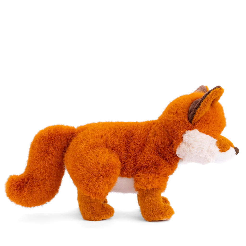 Sweet Clever Fox