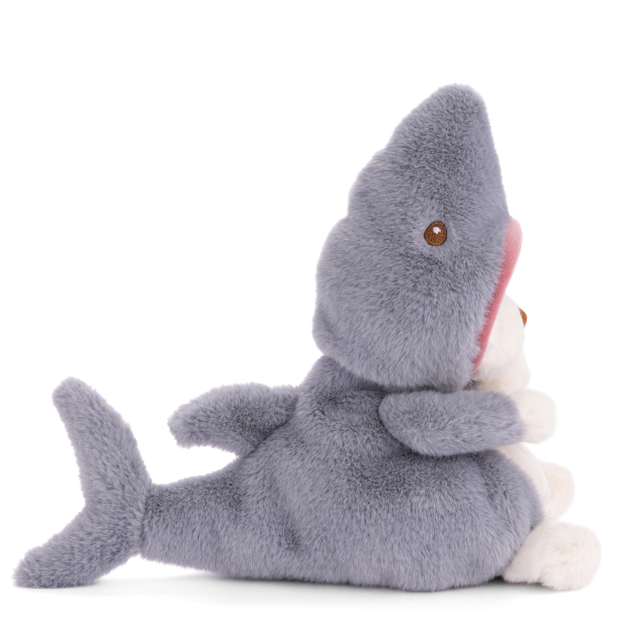 Ziggy Shark