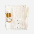 Bee Teether Set