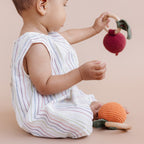Pumpkin Fruit Teether