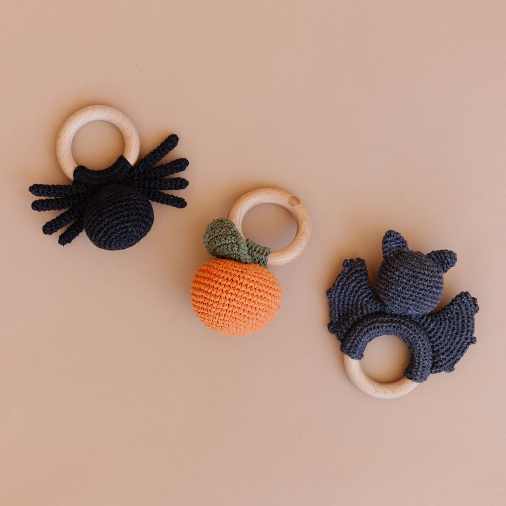 Pumpkin Fruit Teether