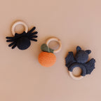 Pumpkin Fruit Teether