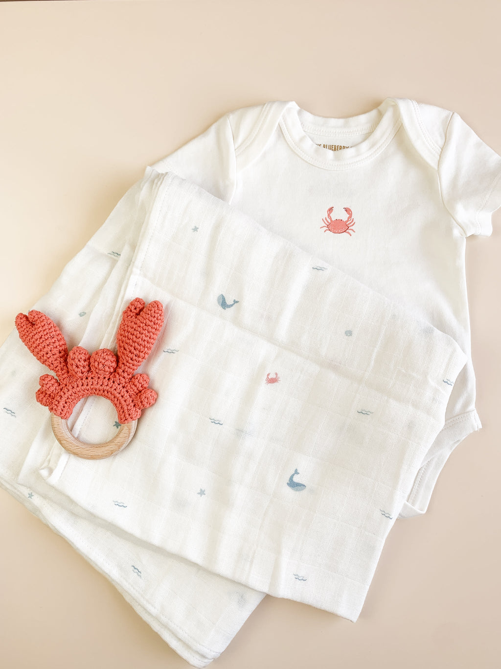 Nautical Teether Set