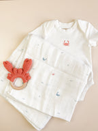 Nautical Teether Set