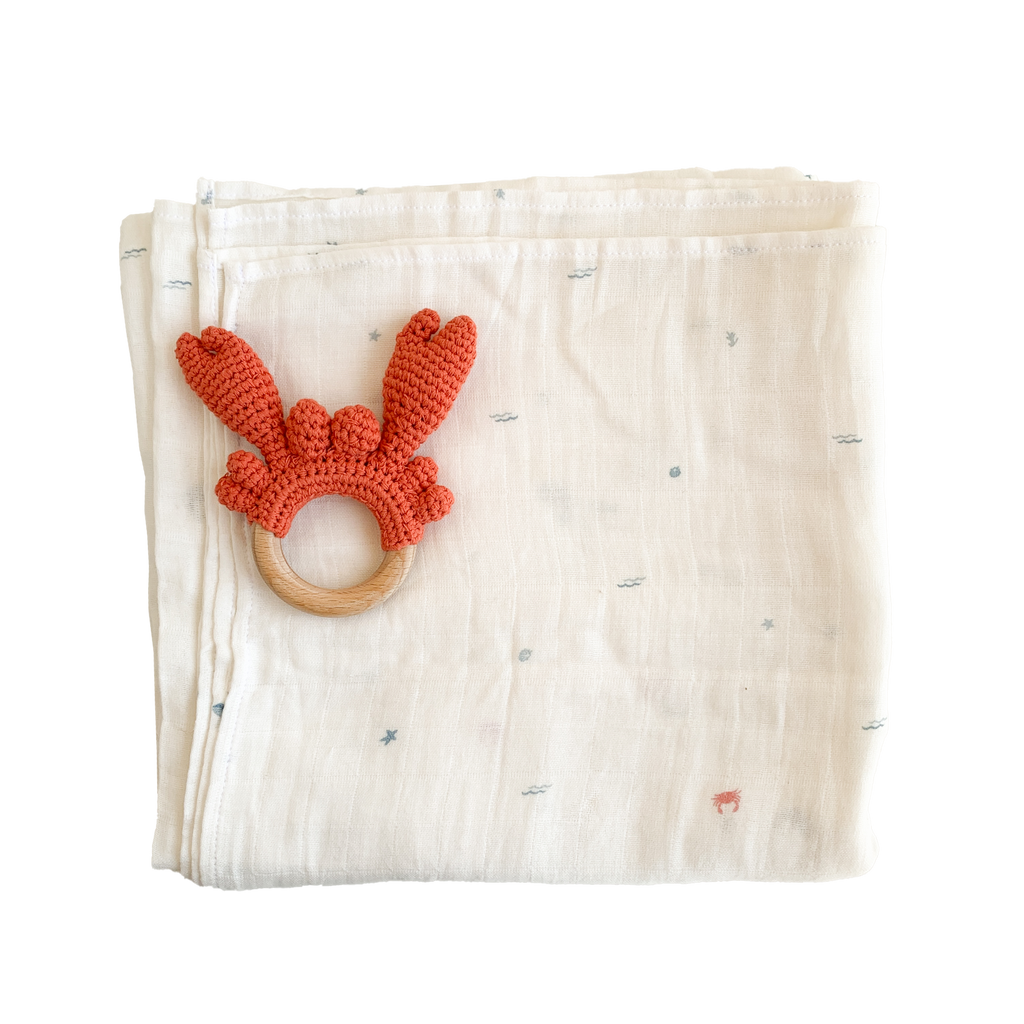 Nautical Teether Set