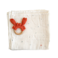 Nautical Teether Set