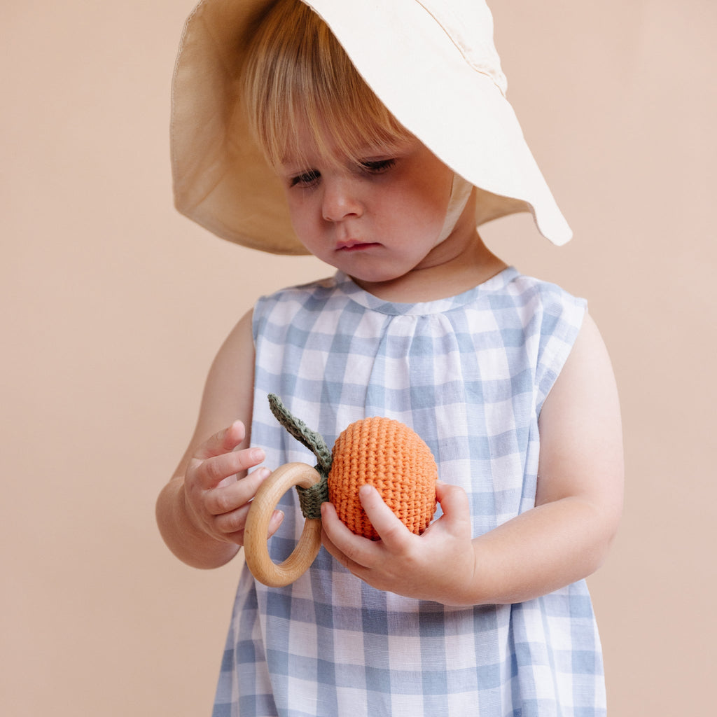 Pumpkin Fruit Teether