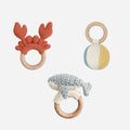 Whale Teether Set